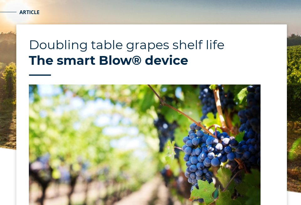 Doubling table grapes shelf life the Blow fruit_december_2019