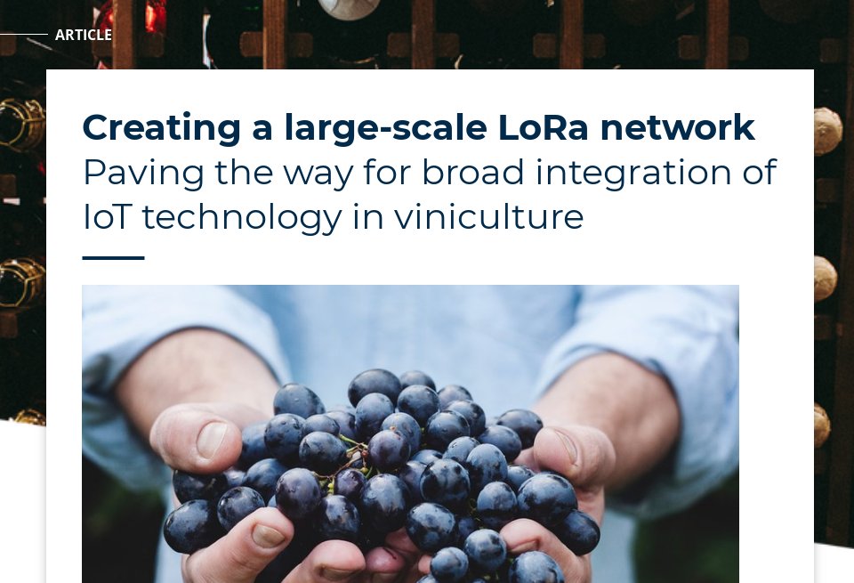 Doubling table grapes shelf life the Blow fruit_december_2019